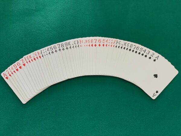 Eagle 1 Limited Edition Playing Cards