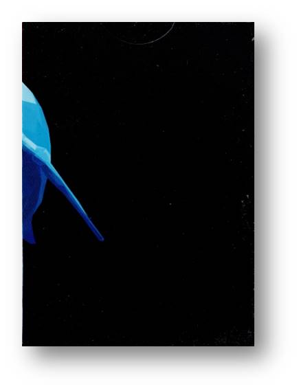 Shark Playing Cards by Riffle Shuffle