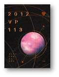 2012 VP 113 Pink Playing Cards by BOCOPO