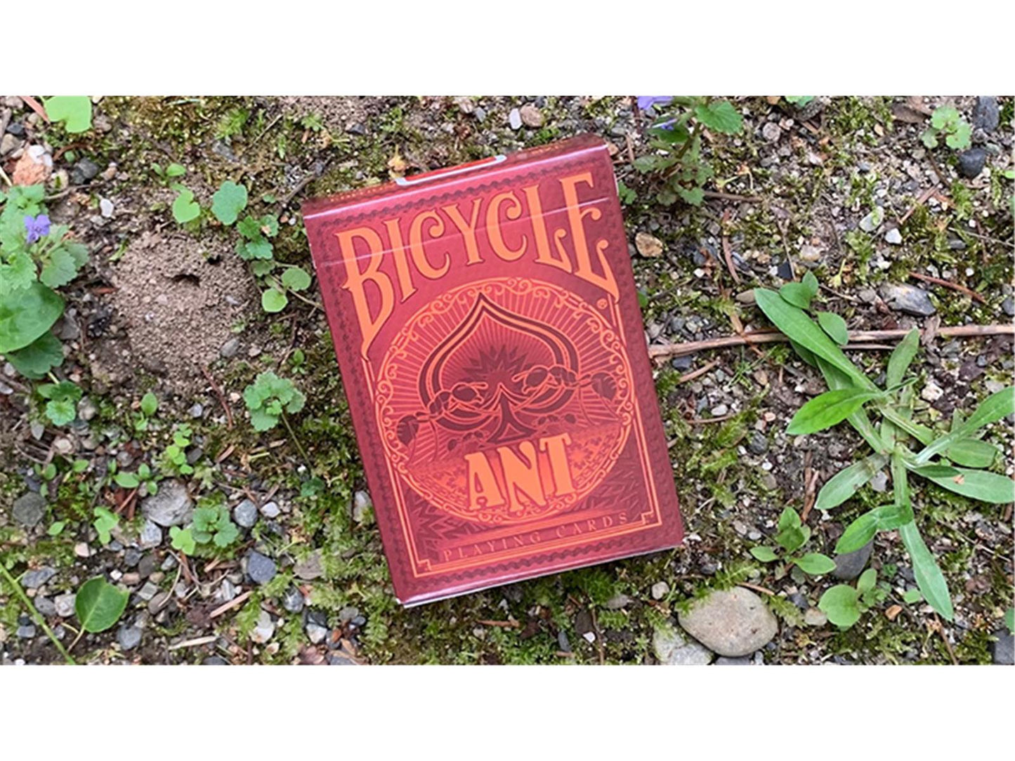 Bicycle Ant (Red) Playing Cards
