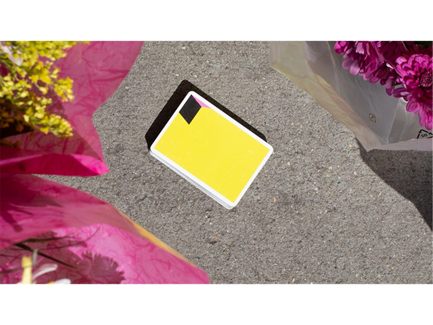 Louisiana Playing Cards