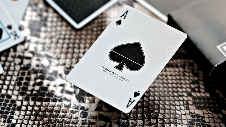 #MYNOC 5: Snake Edition Playing Cards
