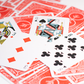 Cactus Standard Playing Cards