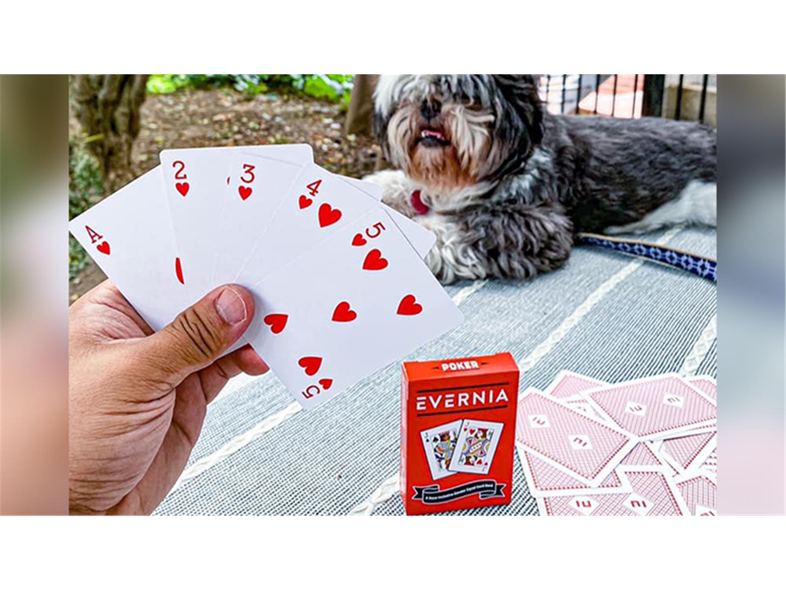 Evernia Playing Cards