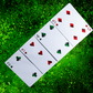 Sirius B V4 Playing Cards by Riffle Shuffle -Limited