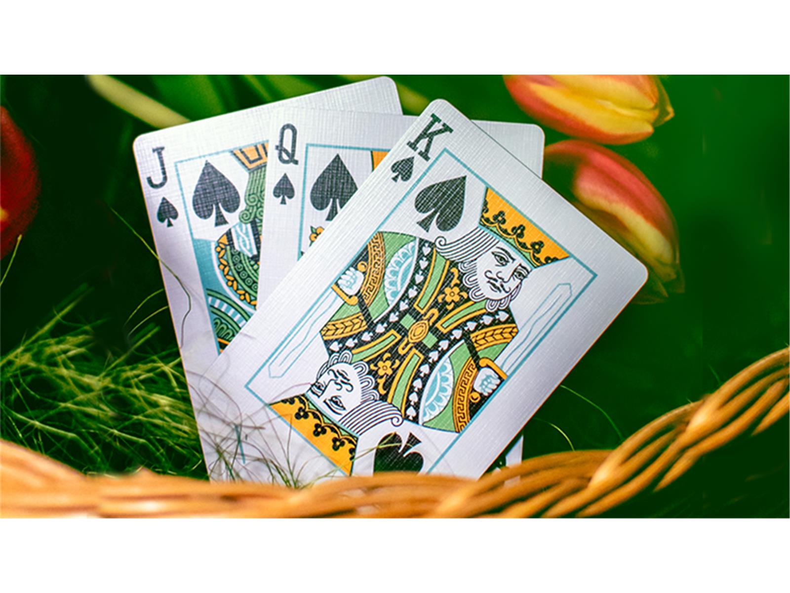 Butterfly Seasons Playing Cards Marked (Spring) by Ondrej Psenicka