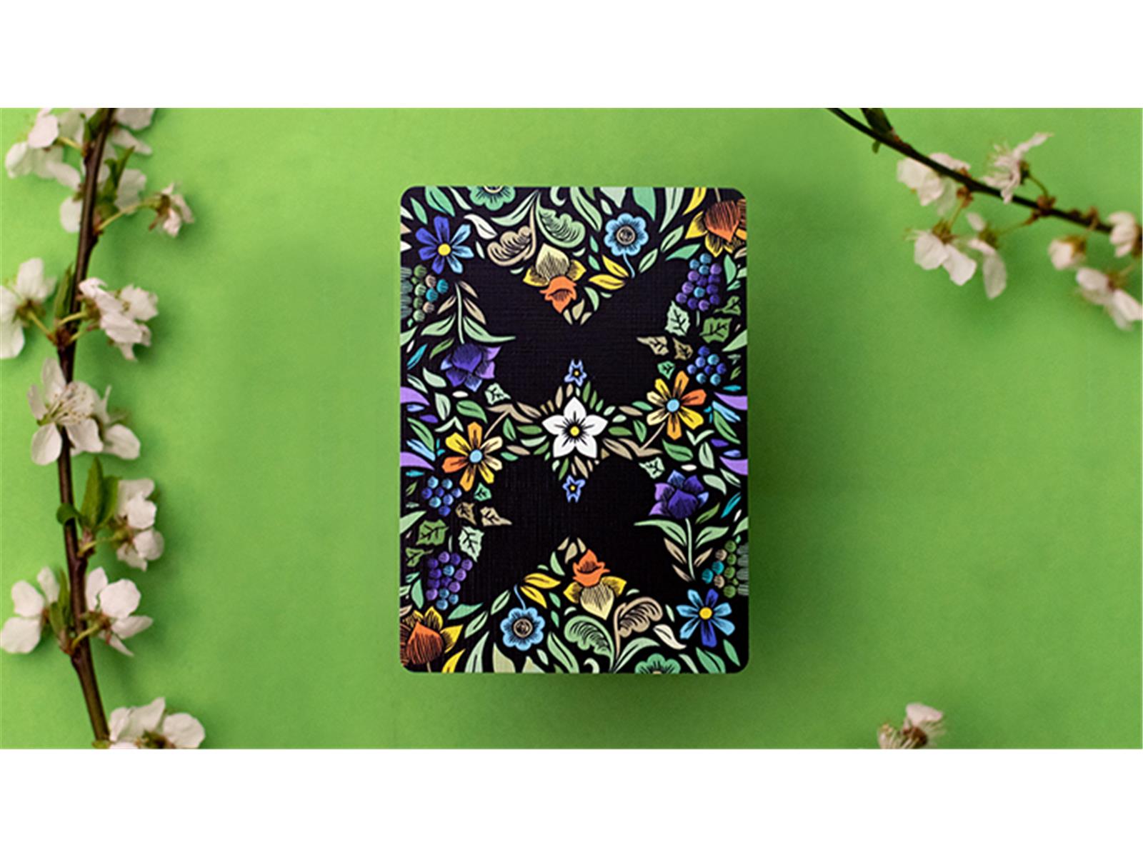 Butterfly Seasons Playing Cards Marked (Spring) by Ondrej Psenicka