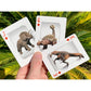 Bicycle Dinosaur Playing Cards