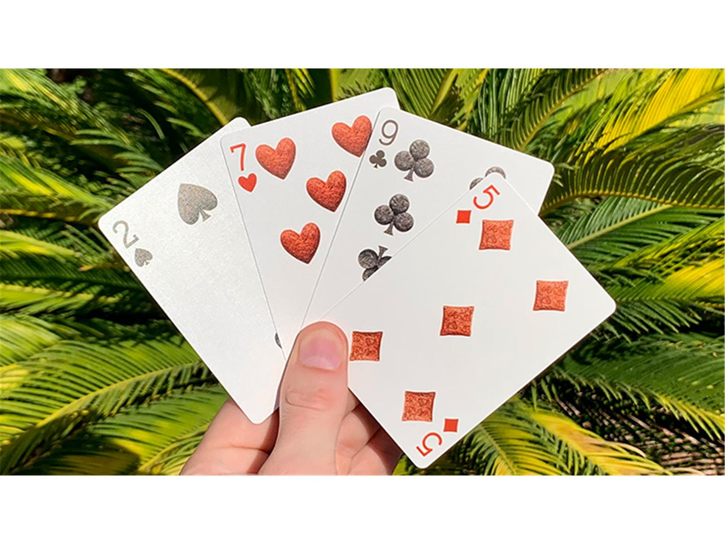 Bicycle Dinosaur Playing Cards