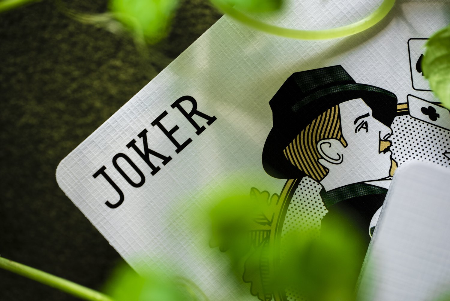 ERDNASE Playing Cards