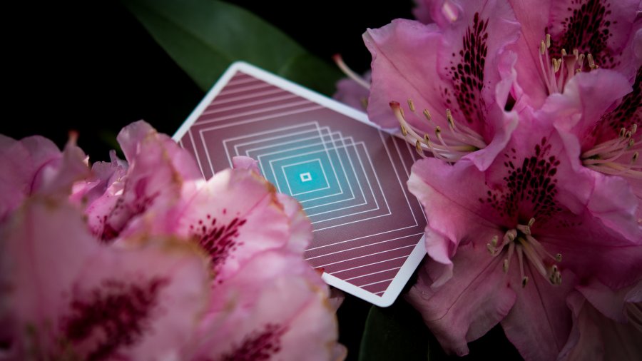 AEY Catcher Playing Cards