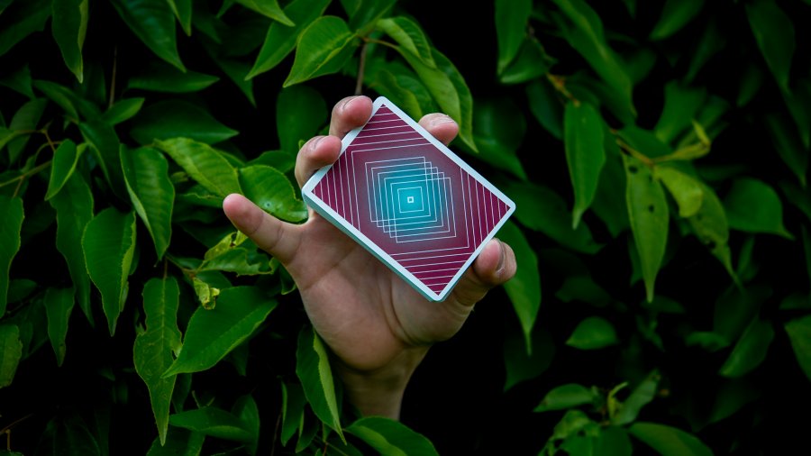 AEY Catcher Playing Cards