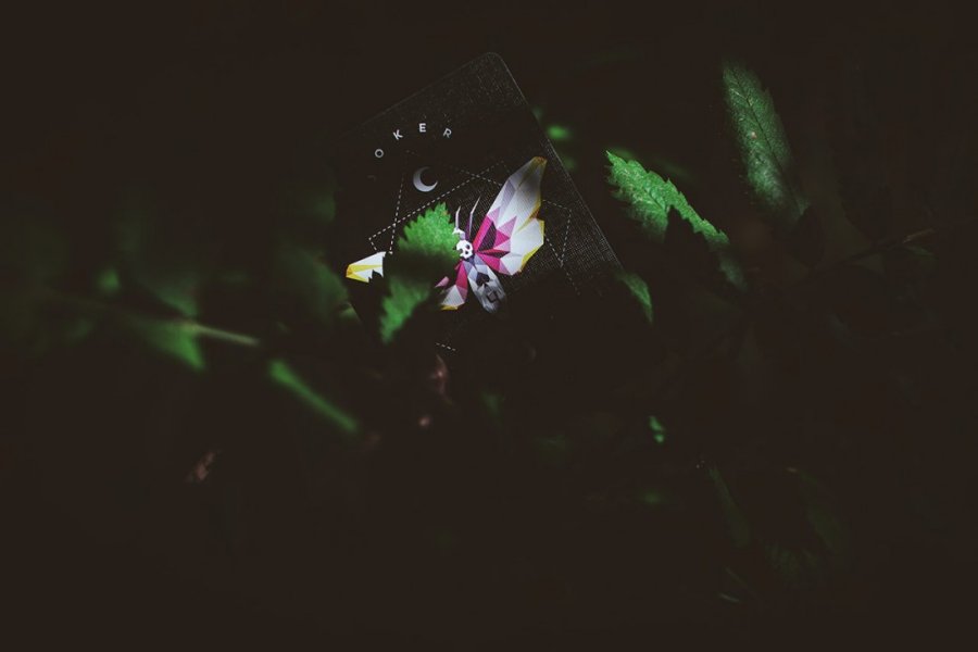 CARPE NOCTEM Playing Cards