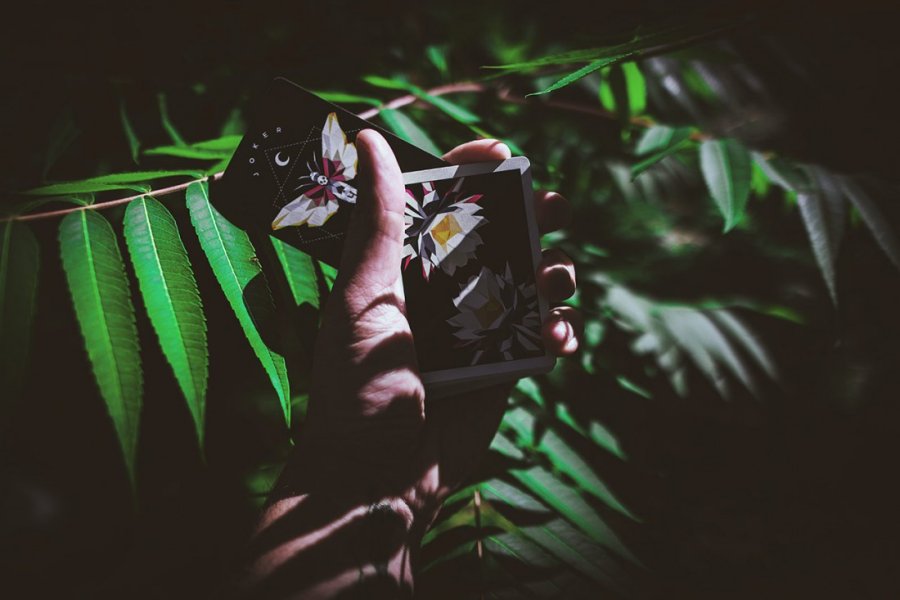 CARPE NOCTEM Playing Cards