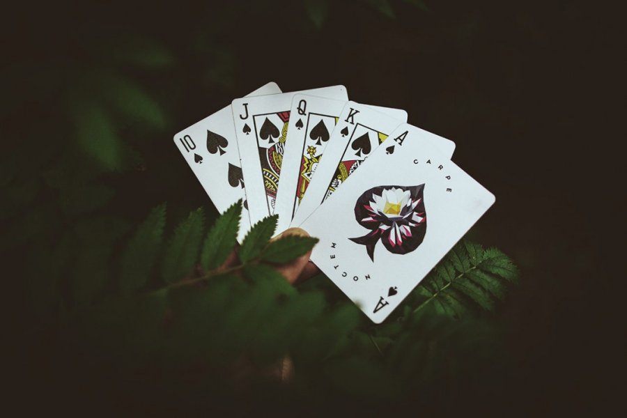 CARPE NOCTEM Playing Cards – Spielkartenshop.com