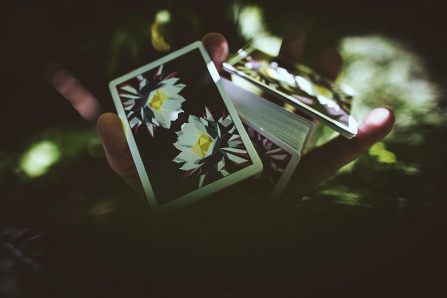 CARPE NOCTEM Playing Cards