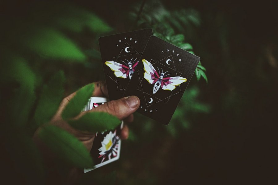 CARPE NOCTEM Playing Cards