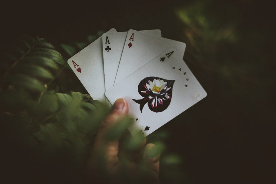 CARPE NOCTEM Playing Cards