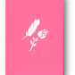 Pink Remedies Playing Cards by Madison x Schneider