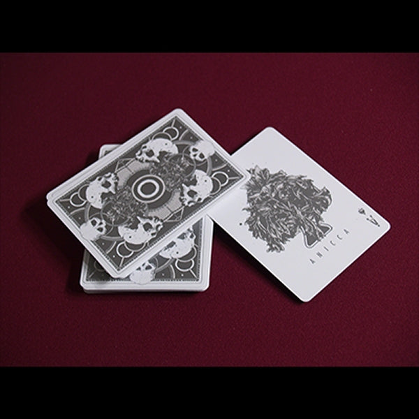 Anicca Deck (Silver) by Card Experiment