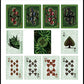 Bicycle Thorn Deck by Collectable Playing Cards