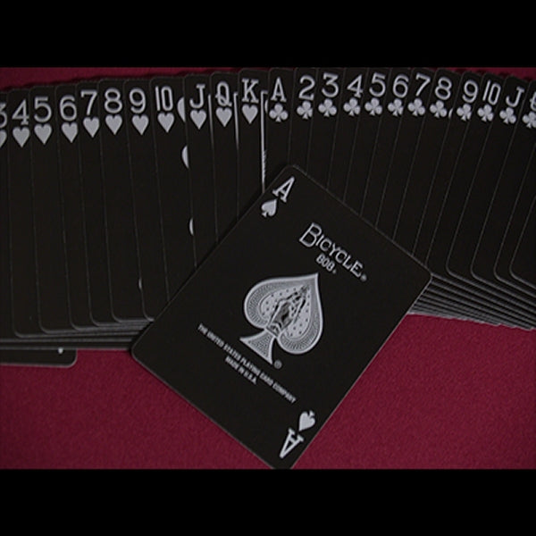 Bicycle Skull Metallic (Silver)